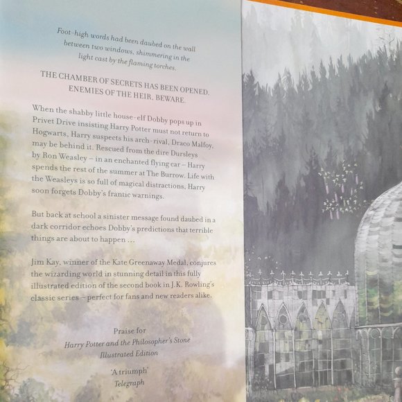 The Philosopher's Stone and Chamber of Secrets books Illustrated by Jim Kay - Picture 10 of 11